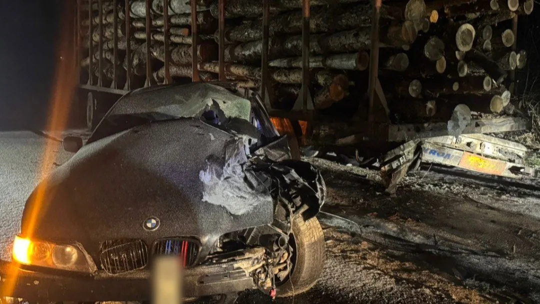 photo 2026 02 19 16 31 00 (2)