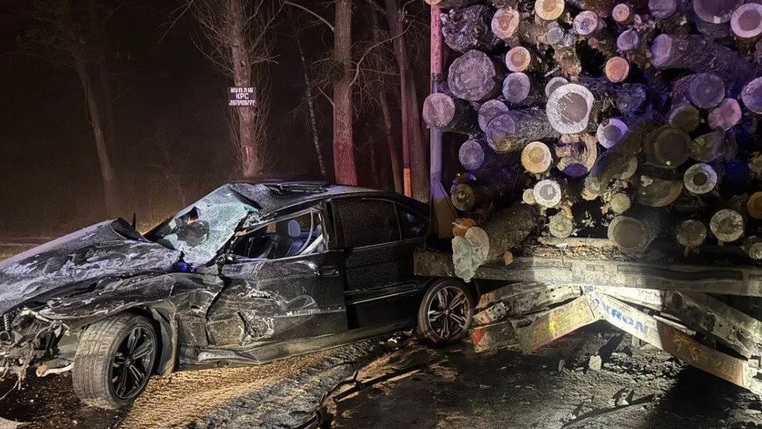 photo 2026 02 19 16 31 00