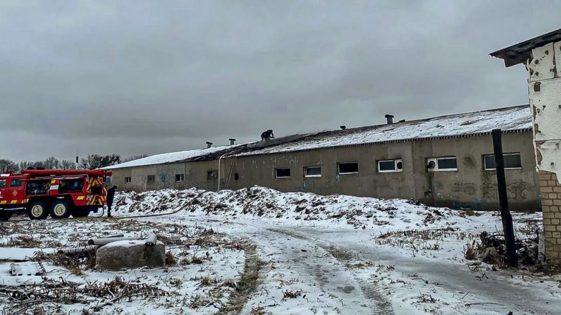 photo 2026 02 19 16 38 17 (3)