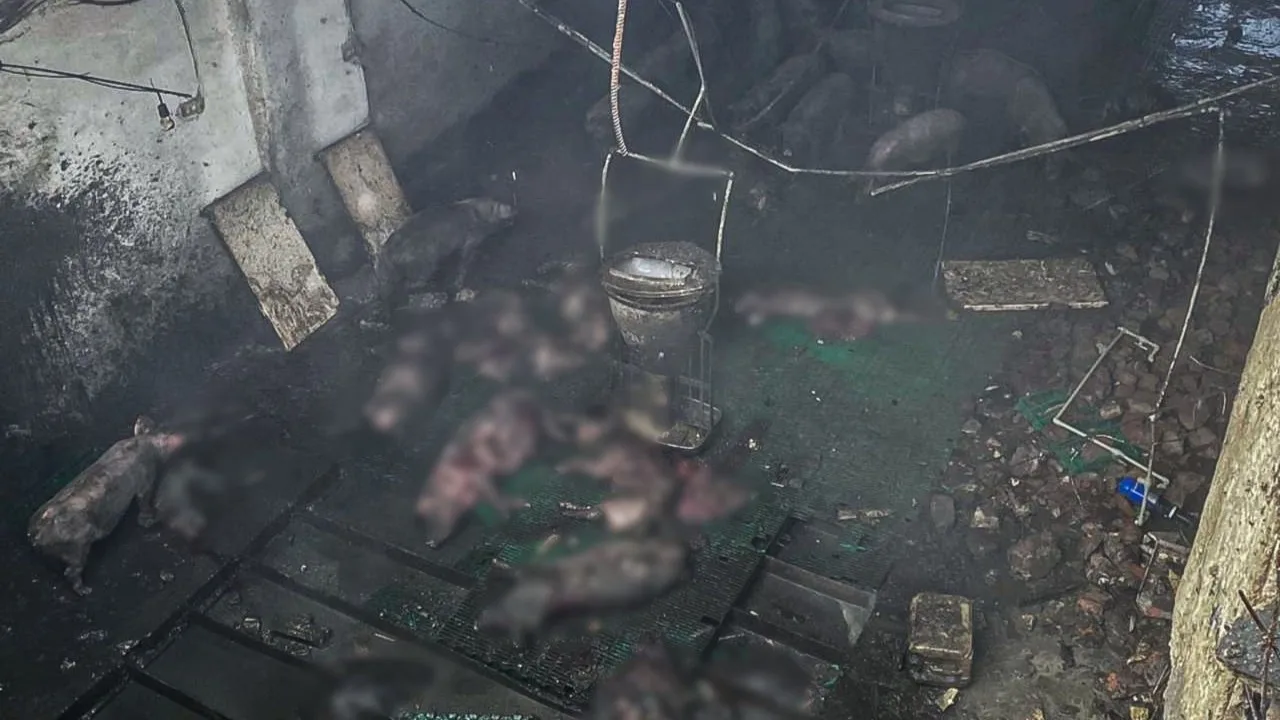 photo 2026 02 19 16 38 17