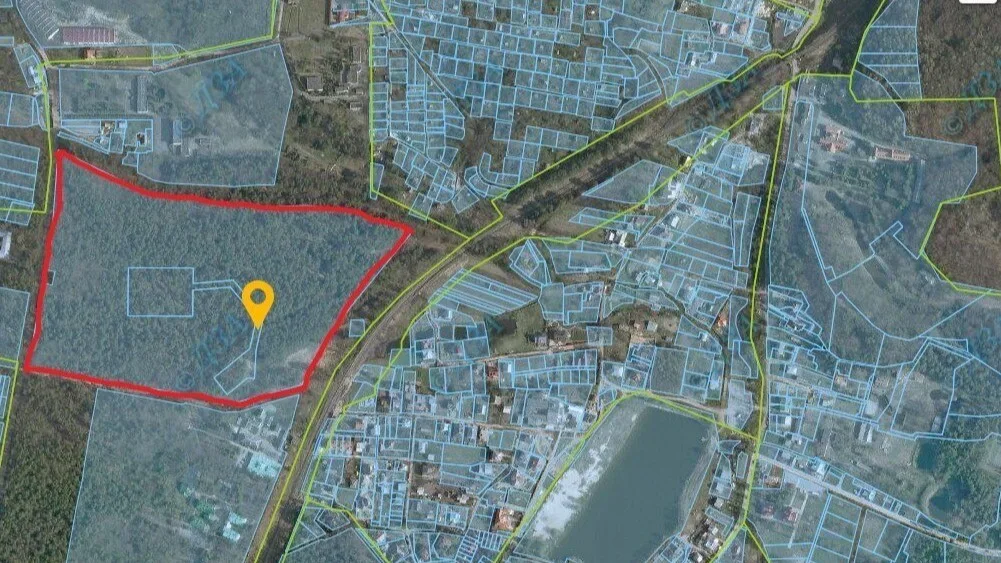 photo 2026 02 19 20 12 52