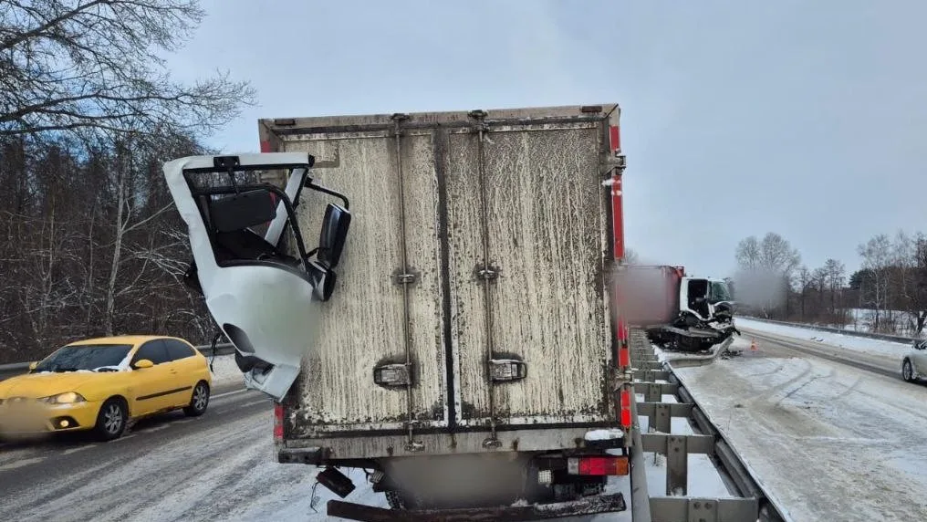 photo 2026 02 20 11 22 40