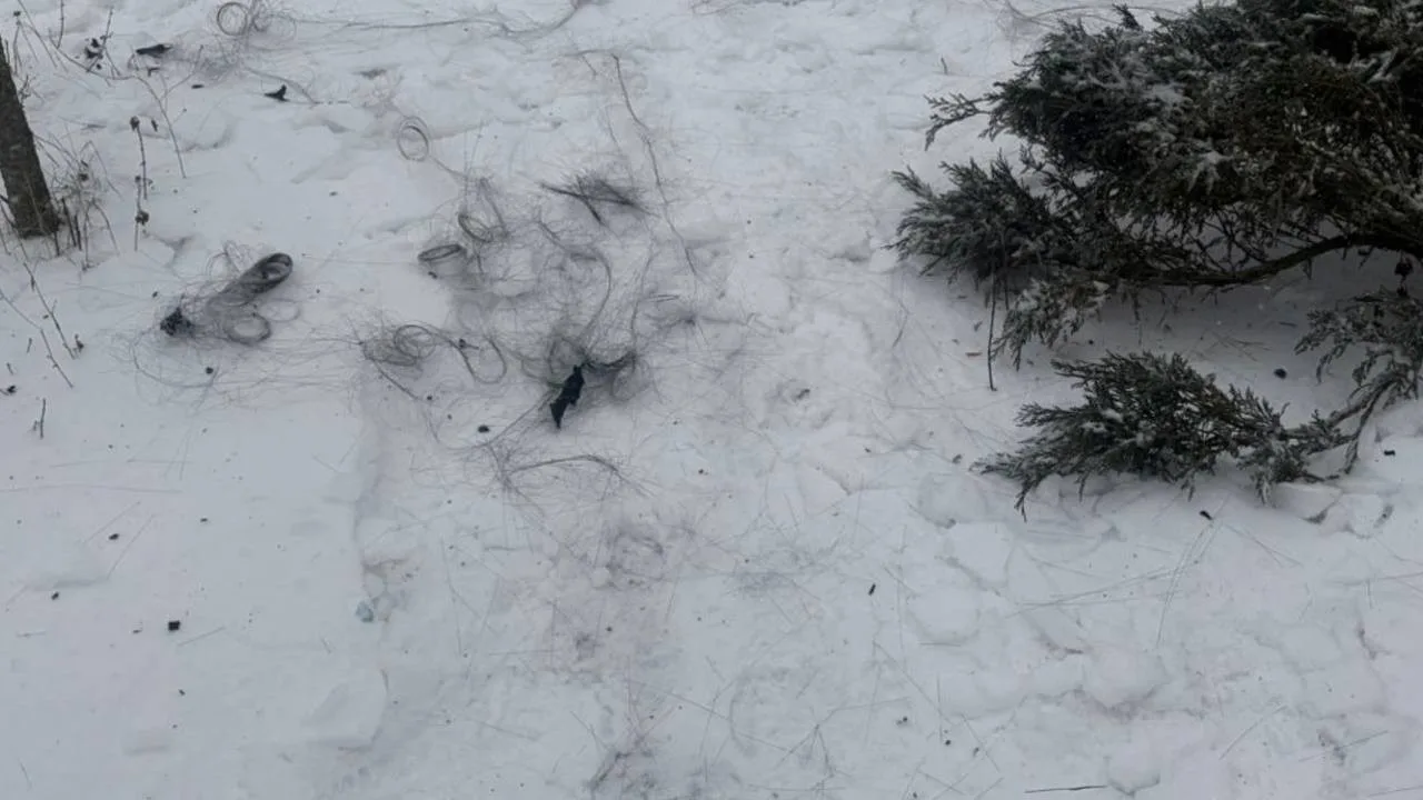 photo 2026 02 20 15 25 32