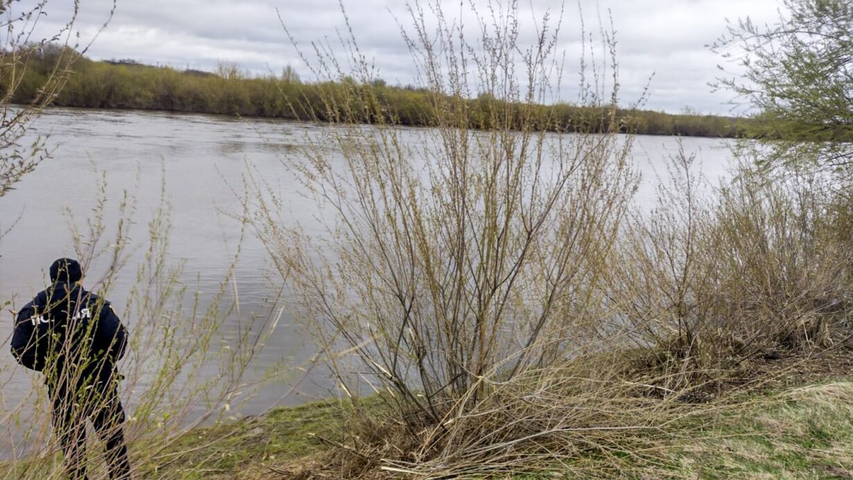 667843346 1280863444218499 4156619816829765909 n