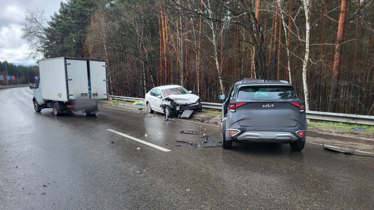 669666566 1405837898247189 2382154302097072665 n