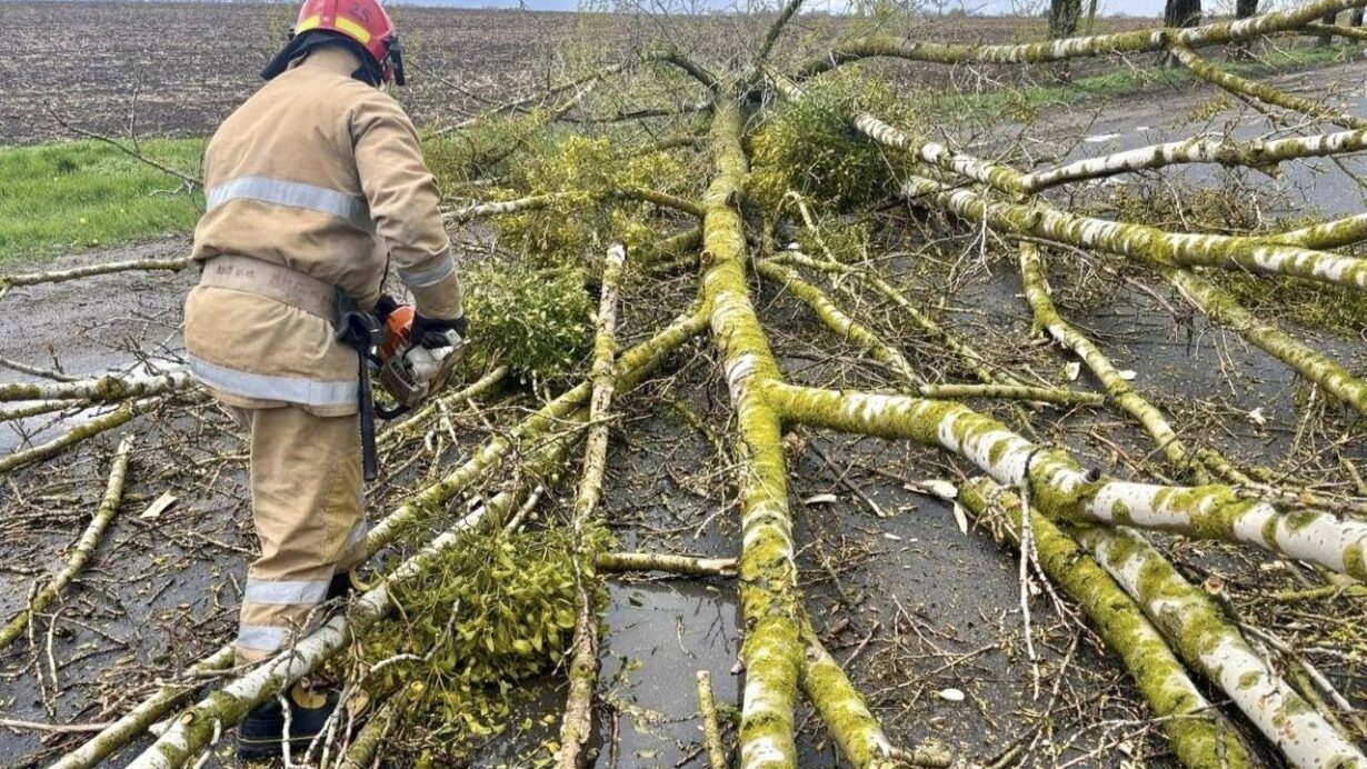 680238940 1397527909078579 3042496949959750414 n