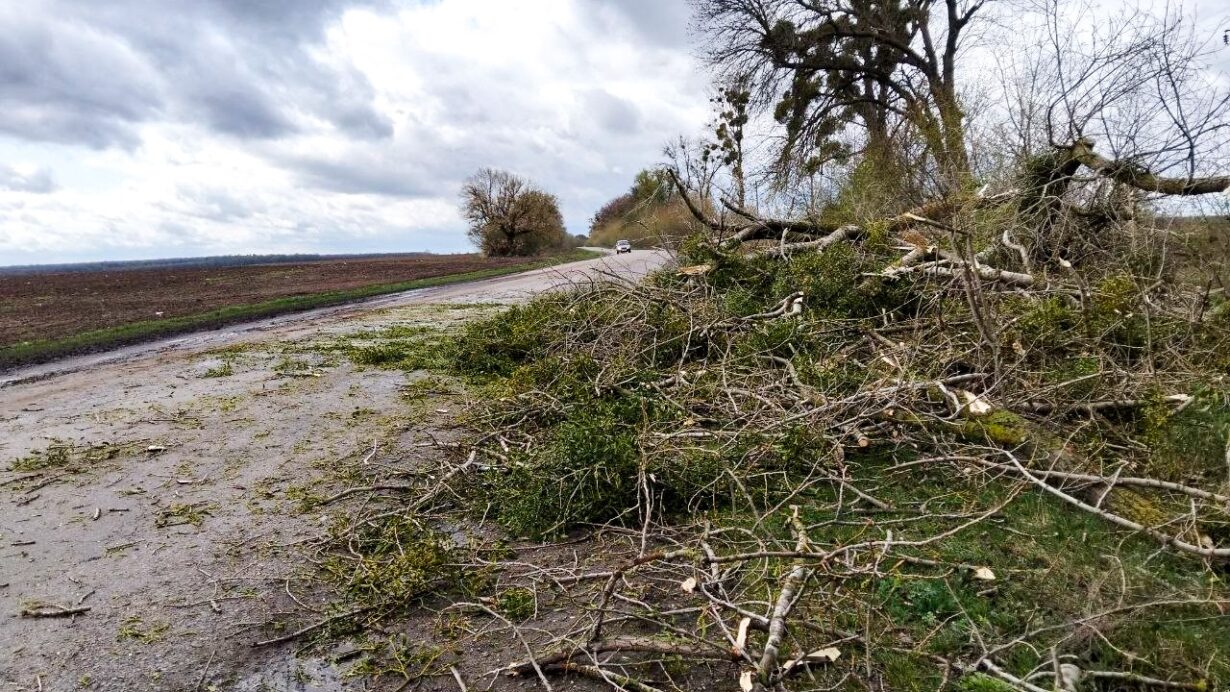 69d3d00c3e7b7311516268