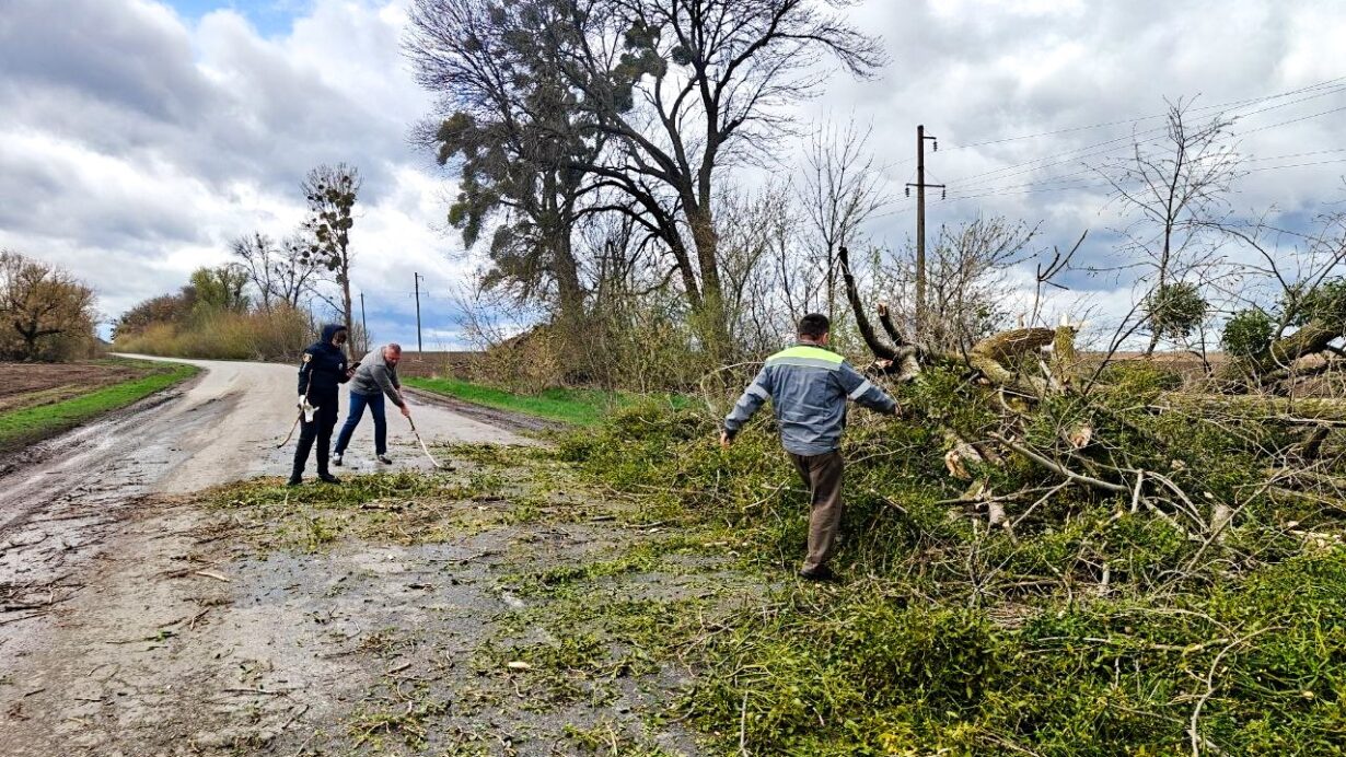 69d3d00d58198257021235