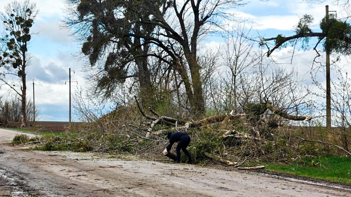 69d3d00d7d938257697022