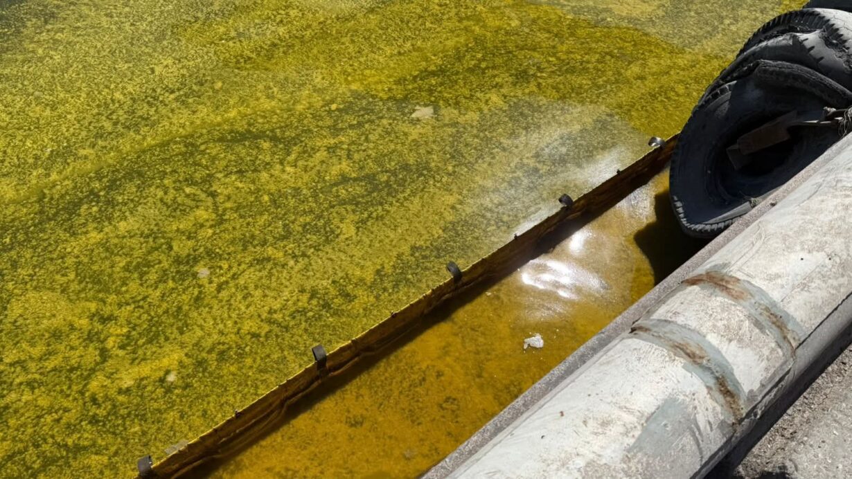 fb img 1777283610109