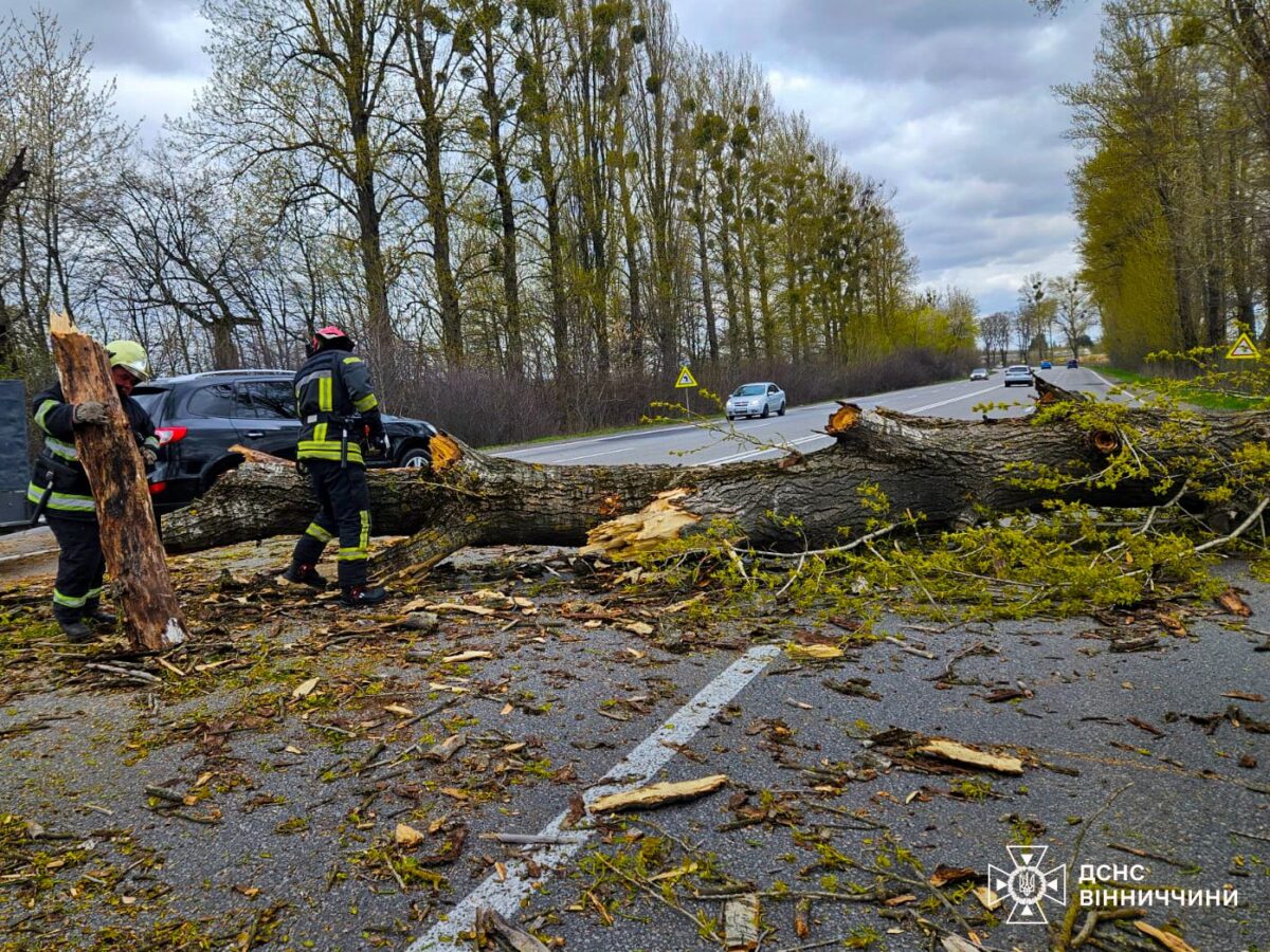 img 20260424 135225 095