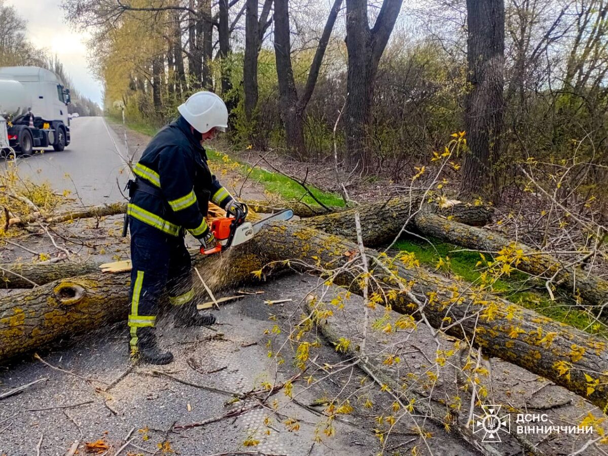 img 20260424 135225 314