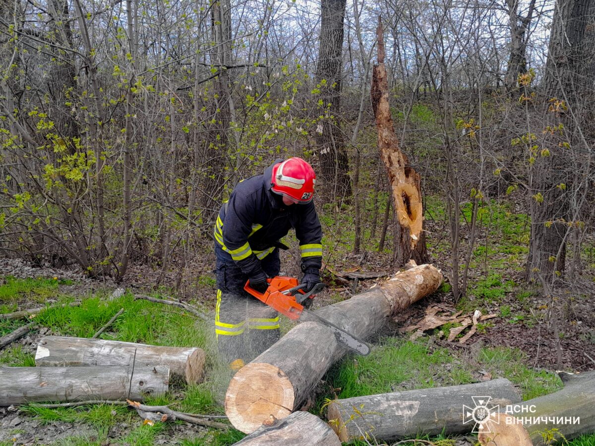 img 20260424 135225 729