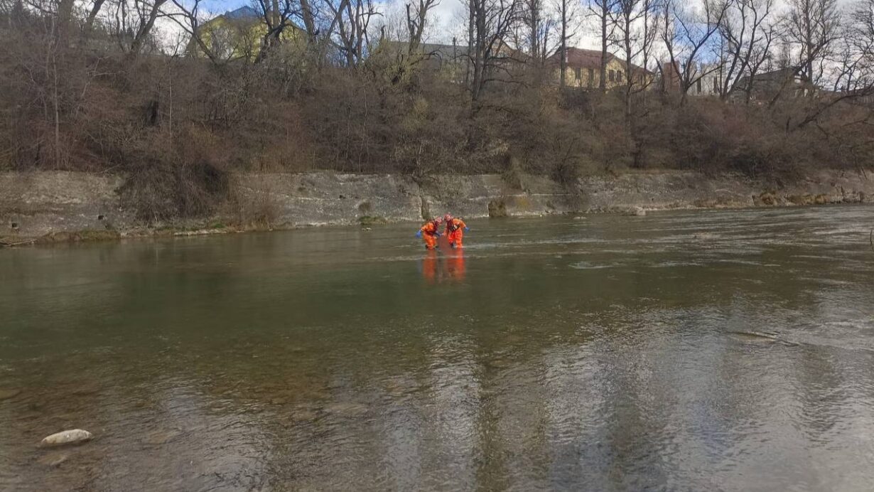 photo 2026 04 11 13 28 52 (2)