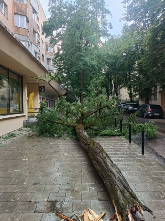 img 20260629 161932 675