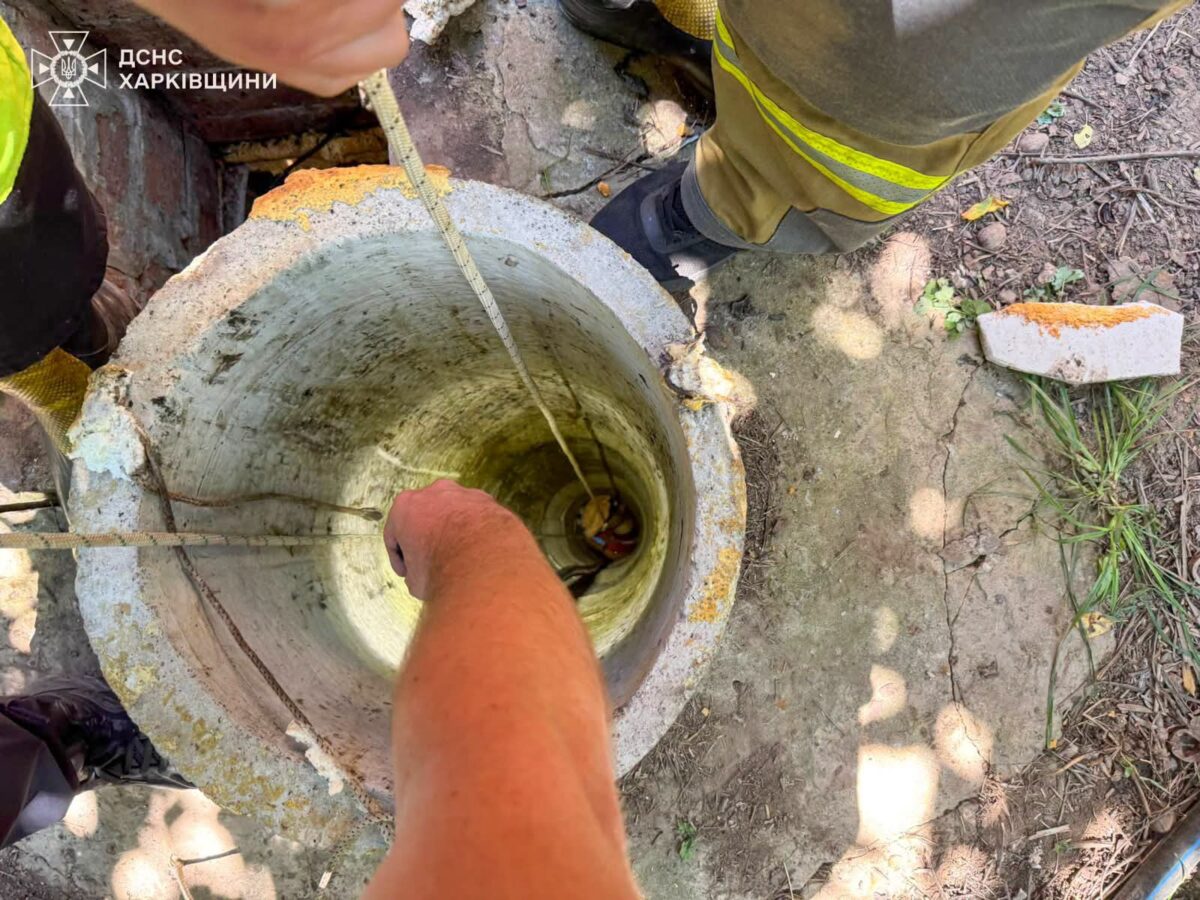 fb img 1784567287701