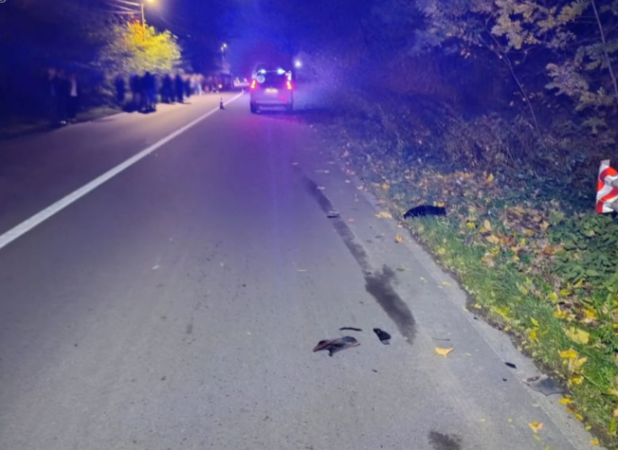 На Львівщині п’яний водій на Nissan збив на смерть 24-річну дівчину та втік
